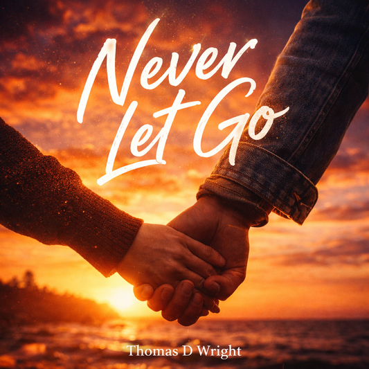 Never Let Go — MP3 Download